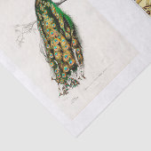 Peacock-ontkoppelpapier Tissuepapier (Detail)
