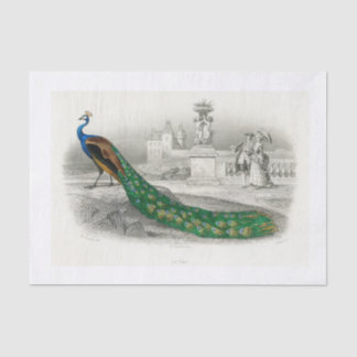 Peacock-ontkoppelpapier Tissuepapier