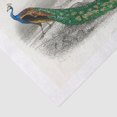 Peacock-ontkoppelpapier Tissuepapier (Detail)