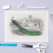 Peacock-ontkoppelpapier Tissuepapier (Craft)