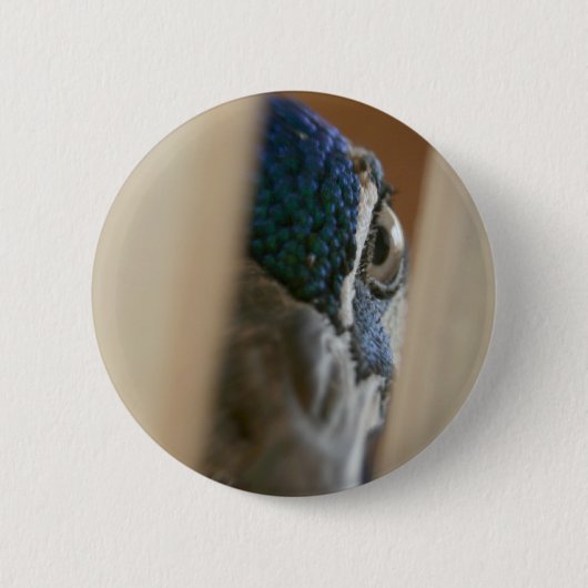 Peacock oog door houten gate ronde button 5,7 cm (Voorkant)