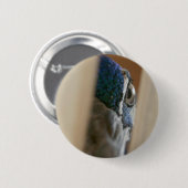 Peacock oog door houten gate ronde button 5,7 cm (Voorkant /achterkant)