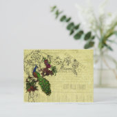  Peacock op Branch Apparel en Gifts Briefkaart (Staand voorkant)