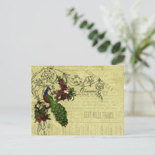  Peacock op Branch Apparel en Gifts Briefkaart (Staand voorkant)