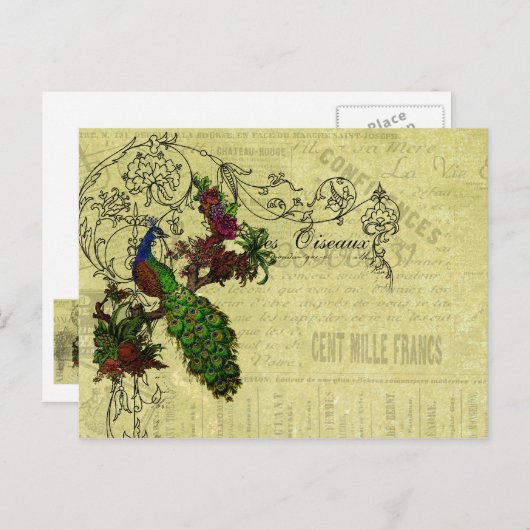  Peacock op Branch Apparel en Gifts Briefkaart (Voorkant / Achterkant)