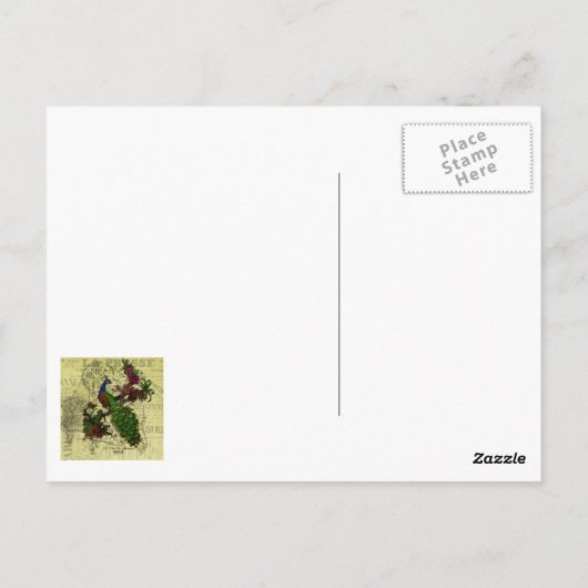  Peacock op Branch Apparel en Gifts Briefkaart (Achterkant)