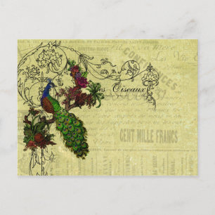  Peacock op Branch Apparel en Gifts Briefkaart