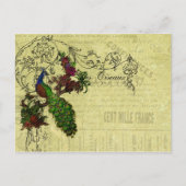  Peacock op Branch Apparel en Gifts Briefkaart (Voorkant)