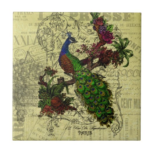  Peacock op Branch Apparel en Gifts Tegeltje (Voorkant)