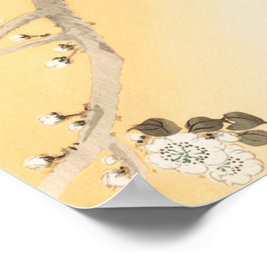 Peacock op Cherry Blossom Tree beroemd gemaakt doo Poster (Hoek)