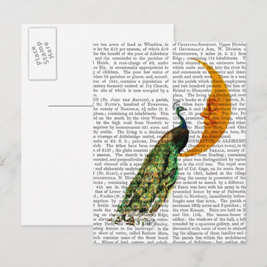 Peacock op de maan briefkaart (Voorkant / Achterkant)