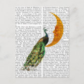 Peacock op de maan briefkaart (Voorkant)