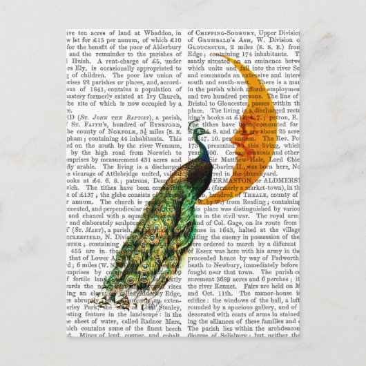 Peacock op de maan briefkaart (Voorkant)