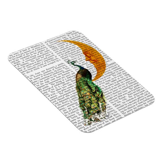 Peacock op de maan magneet (Rechterzijde)