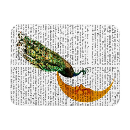 Peacock op de maan magneet (Horizontaal)