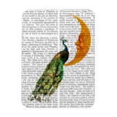 Peacock op de maan magneet (Verticaal)