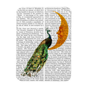 Peacock op de maan magneet