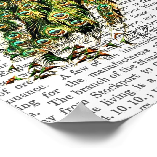 Peacock op de maan poster (Hoek)
