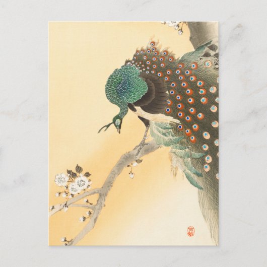 Peacock op een Cherry Blossom Tree door Ohara Koso Briefkaart (Voorkant)