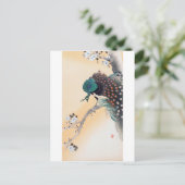 Peacock op een Cherry Blossom Tree, Ohara Koson Briefkaart (Staand voorkant)