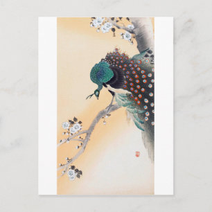 Peacock op een Cherry Blossom Tree, Ohara Koson Briefkaart