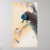 Peacock op een Cherry Blossom Tree, Ohara Koson Poster (Voorkant)