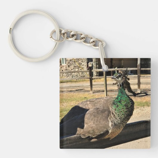 Peacock op een hek, Idaho Sleutelhanger (voorkant)
