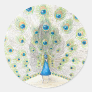 Peacock op een ronde sticker