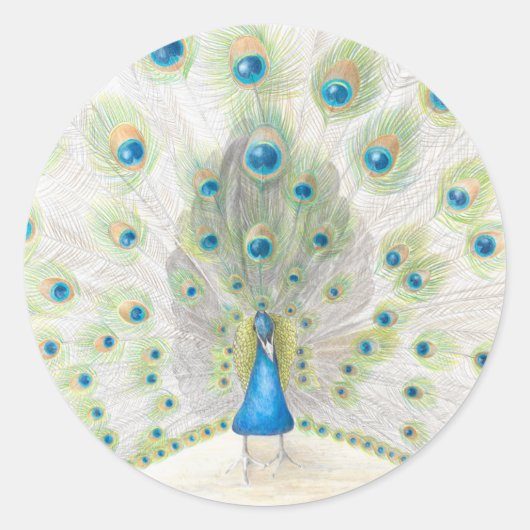 Peacock op een ronde sticker (Voorkant)