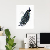 Peacock op een tak - illustratie poster (Thuiskantoor)