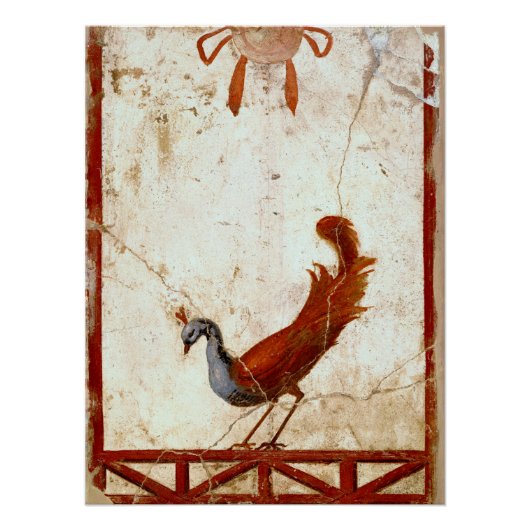 Peacock op Fresco Ancient Roman Antiek schilderen Poster (Voorkant)