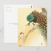Peacock op kersenbloesem ++ Ohara Koson - Briefkaart (Voorkant / Achterkant)