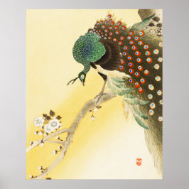 Peacock op kersenbloesemboom poster