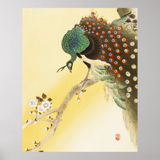 Peacock op kersenbloesemboom poster (Voorkant)