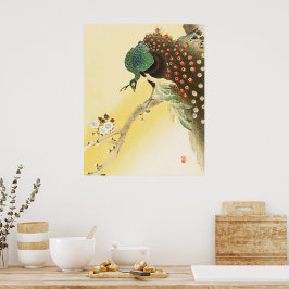 Peacock op kersenbloesemboom poster