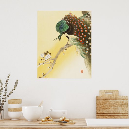 Peacock op kersenbloesemboom poster (Keuken)