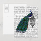 Peacock op lamp briefkaart (Voorkant / Achterkant)