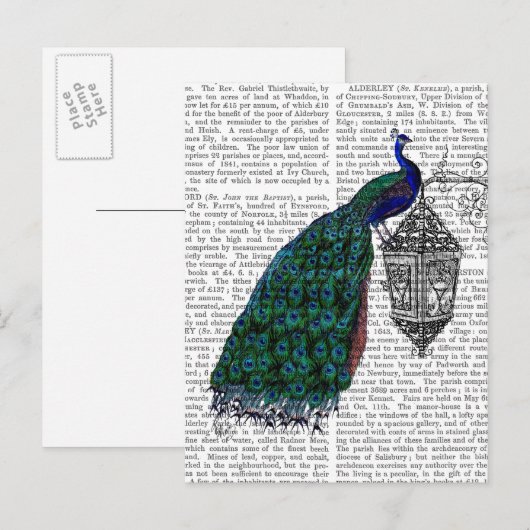 Peacock op lamp briefkaart (Voorkant / Achterkant)