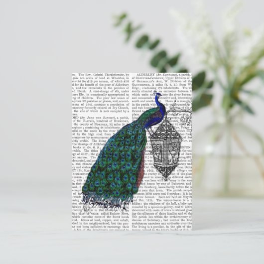 Peacock op lamp briefkaart (Staand voorkant)