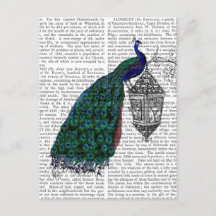 Peacock op lamp briefkaart