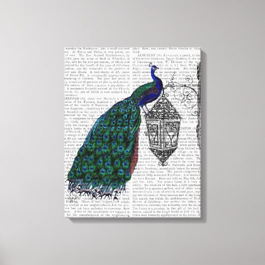 Peacock op lamp canvas afdruk (Voorkant)