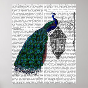 Peacock op lamp poster