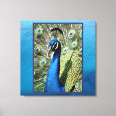Peacock op oceaanachtergrond canvas afdruk (Voorkant)