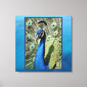 Peacock op oceaanachtergrond canvas afdruk