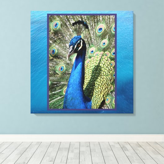 Peacock op oceaanachtergrond canvas afdruk (Insitu (Houten vloer))