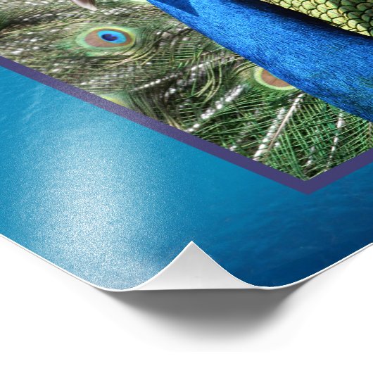 Peacock op oceaanachtergrond foto afdruk (Hoek)