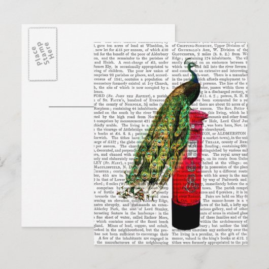 Peacock op postvak briefkaart (Voorkant / Achterkant)