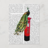 Peacock op postvak briefkaart (Voorkant)
