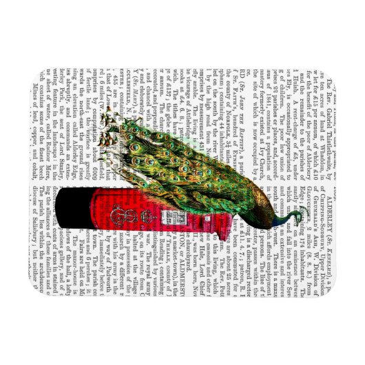 Peacock op postvak magneet (Horizontaal)