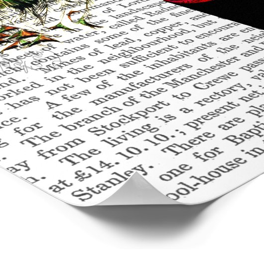 Peacock op postvak poster (Hoek)